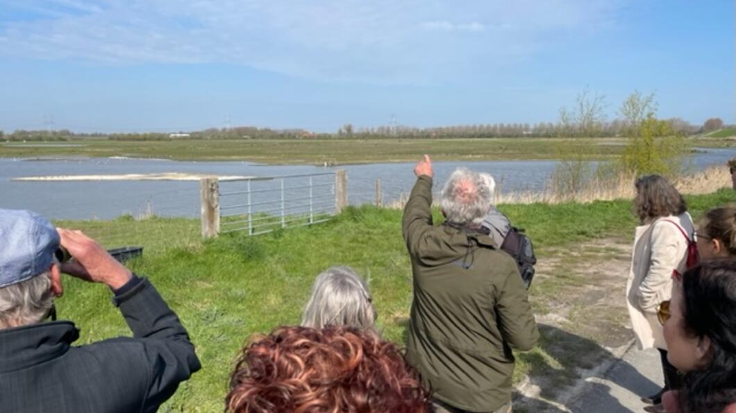 Hoedekenskerkepolder